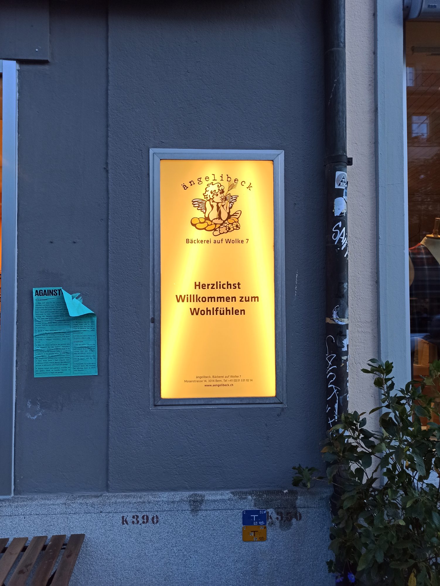 Leuchtsysteme – Referenz 13